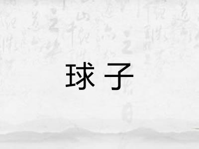 球子 球子