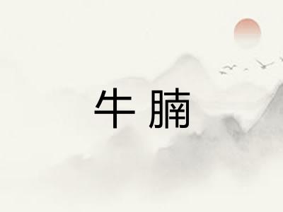 牛腩 牛腩