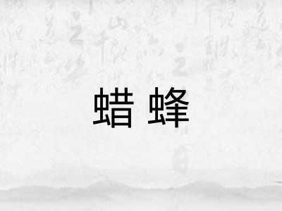 蜡蜂 蜡蜂
