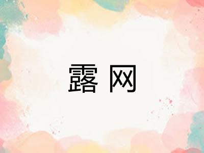 露网 露网