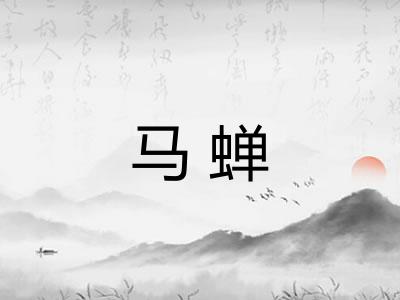 马蝉 马蝉