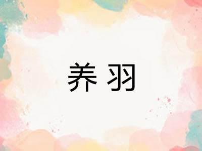 养羽 养羽