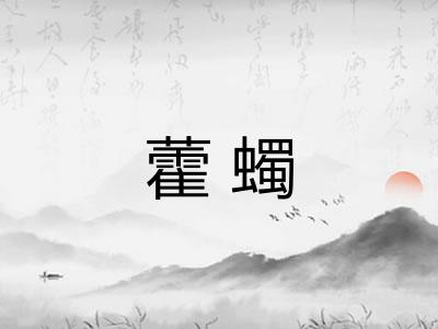 藿蠋