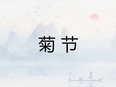 菊节 菊节