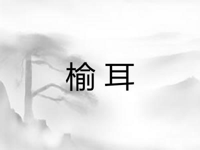榆耳