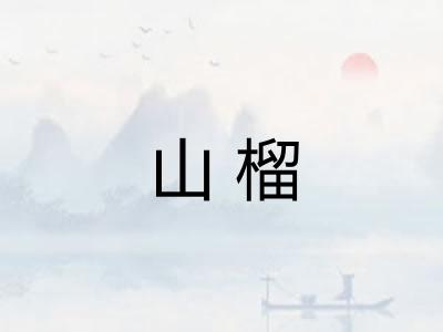 山榴 山榴