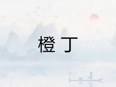 橙丁