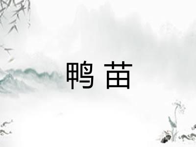 鸭苗 鸭苗