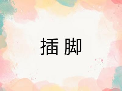 插脚