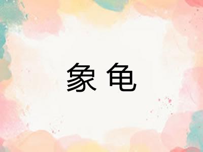 象龟 象龟