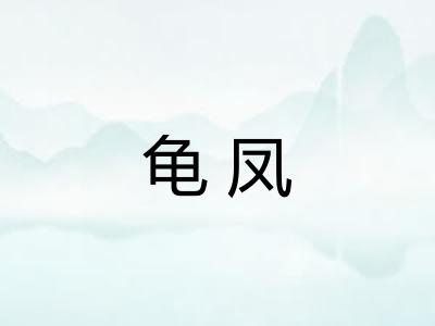 龟凤