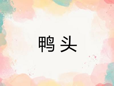 鸭头 鸭头
