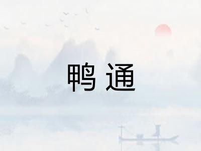 鸭通 鸭通