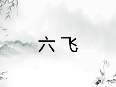 六飞
