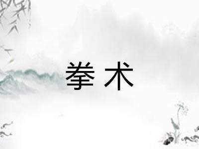 拳术 拳术