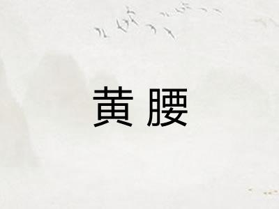 黄腰 黄腰