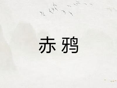赤鸦 赤鸦
