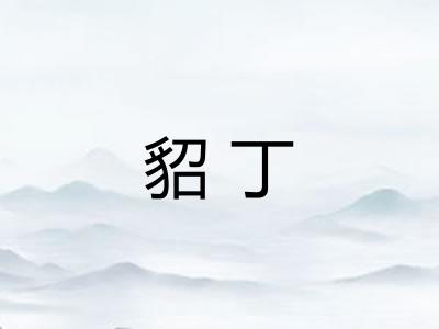 貂丁 貂丁