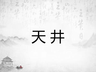 天井 天井