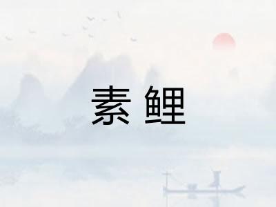 素鲤 素鲤