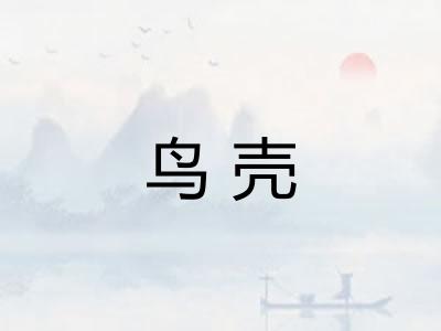 鸟壳 鸟壳