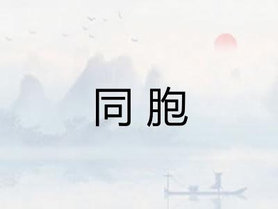 同胞