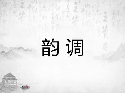 韵调 韵调