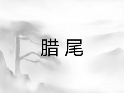 腊尾 腊尾