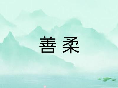 善柔 善柔