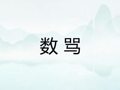 数骂 数骂