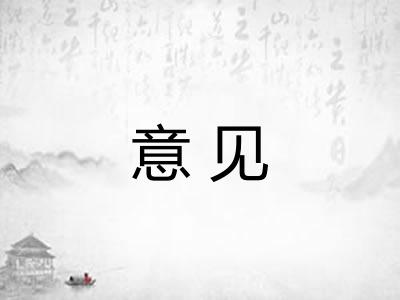 意见 意见
