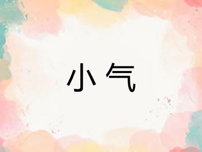 小气