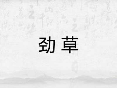 劲草 劲草