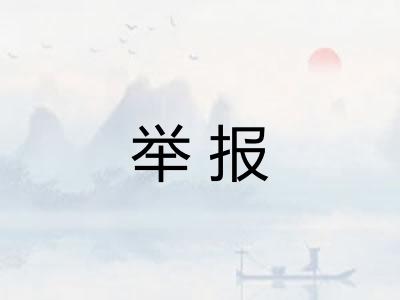 举报