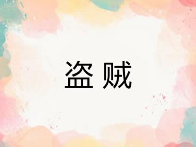 盗贼