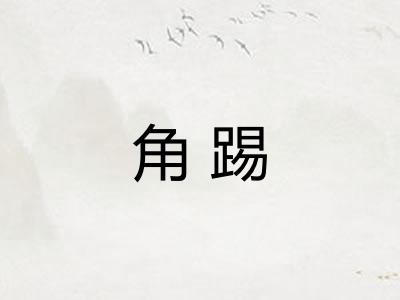 角踢 角踢