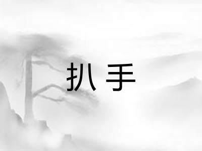 扒手 扒手