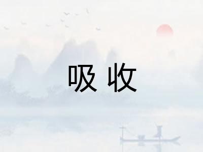 吸收 吸收