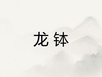 龙钵