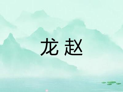 龙赵 龙赵
