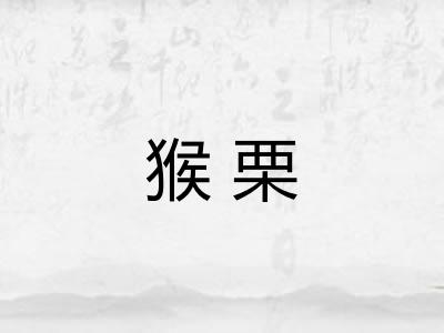 猴栗 猴栗
