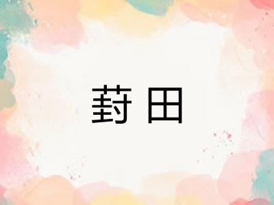 葑田 葑田
