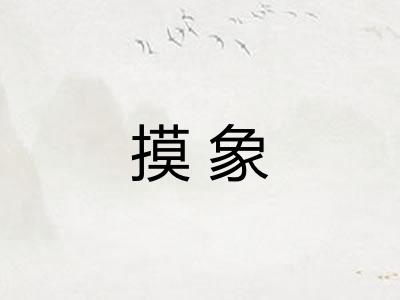 摸象 摸象