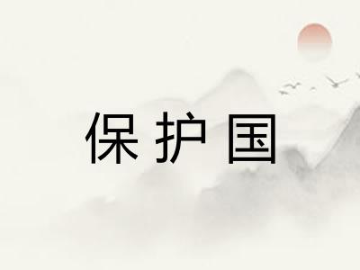 保护国