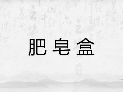 肥皂盒 肥皂盒