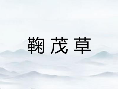 鞠茂草