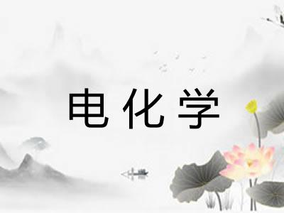 电化学 电化学