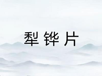 犁铧片
