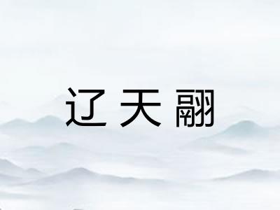 辽天翮 辽天翮