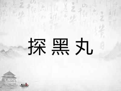探黑丸
